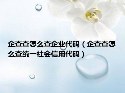 企查查怎么查企业代码（企查查怎么查统一社会信用代码）