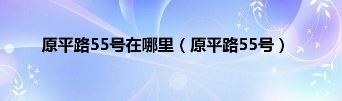  原平路55号在哪里（原平路55号）