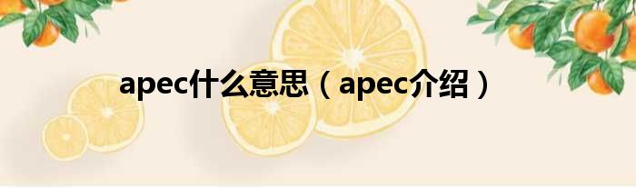 apec什么意思（apec介绍）