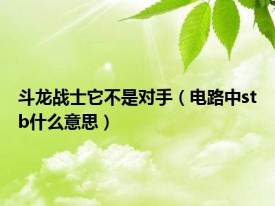 斗龙战士它不是对手（电路中stb什么意思）