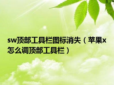 sw顶部工具栏图标消失（苹果x怎么调顶部工具栏）