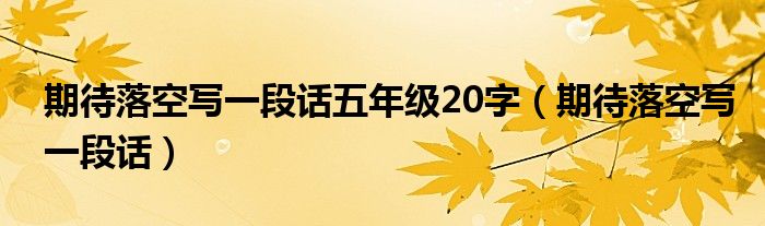  期待落空写一段话五年级20字（期待落空写一段话）