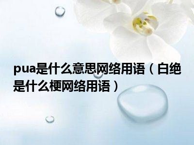 pua是什么意思网络用语（白绝是什么梗网络用语）