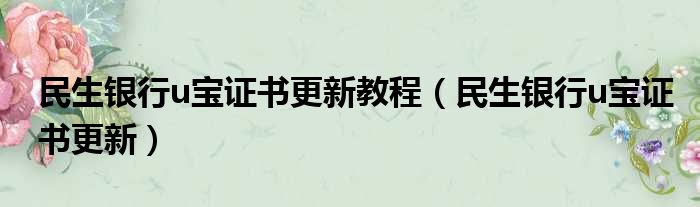 民生银行u宝证书更新教程（民生银行u宝证书更新）