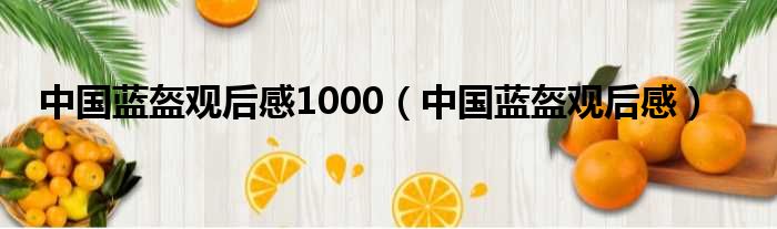 中国蓝盔观后感1000（中国蓝盔观后感）