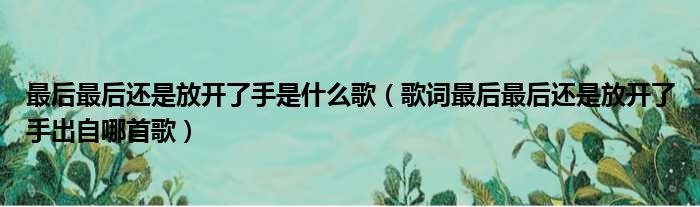 最后最后还是放开了手是什么歌（歌词最后最后还是放开了手出自哪首歌）