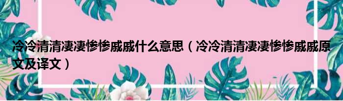 冷冷清清凄凄惨惨戚戚什么意思（冷冷清清凄凄惨惨戚戚原文及译文）