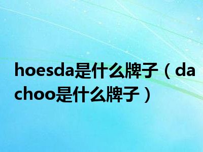 hoesda是什么牌子（dachoo是什么牌子）