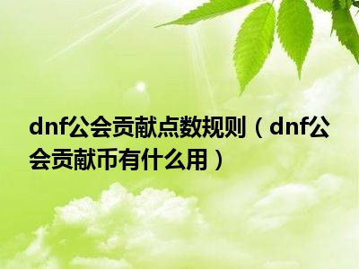 dnf公会贡献点数规则（dnf公会贡献币有什么用）