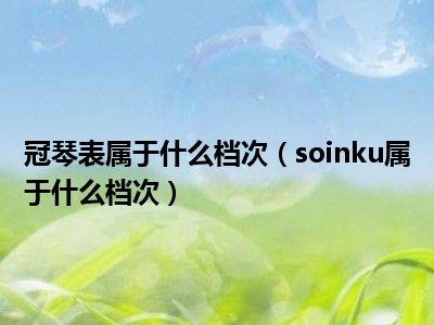 冠琴表属于什么档次（soinku属于什么档次）