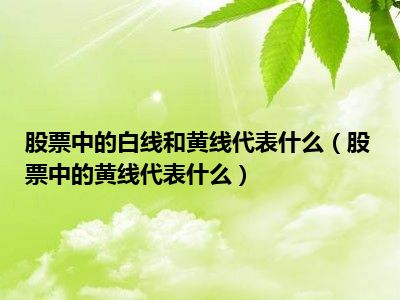 股票中的白线和黄线代表什么（股票中的黄线代表什么）