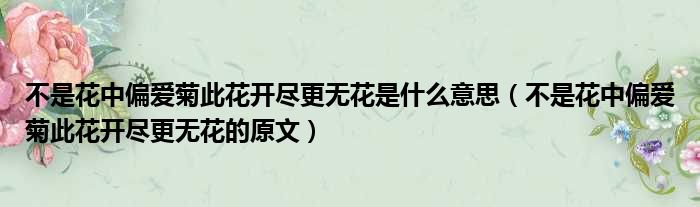 不是花中偏爱菊此花开尽更无花是什么意思（不是花中偏爱菊此花开尽更无花的原文）