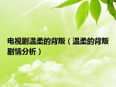 电视剧温柔的背叛（温柔的背叛剧情分析）