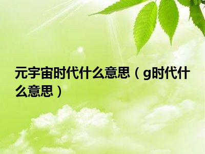 元宇宙时代什么意思（g时代什么意思）