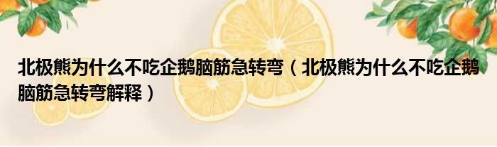 北极熊为什么不吃企鹅脑筋急转弯（北极熊为什么不吃企鹅脑筋急转弯解释）