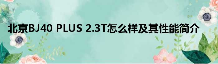 北京BJ40 PLUS 2.3T怎么样及其性能简介