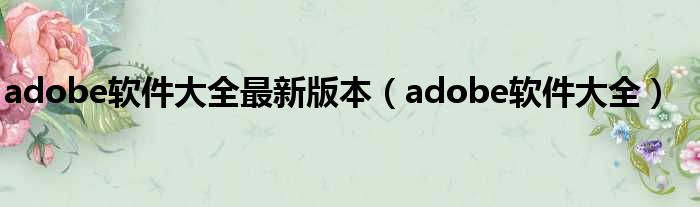 adobe软件大全最新版本（adobe软件大全）