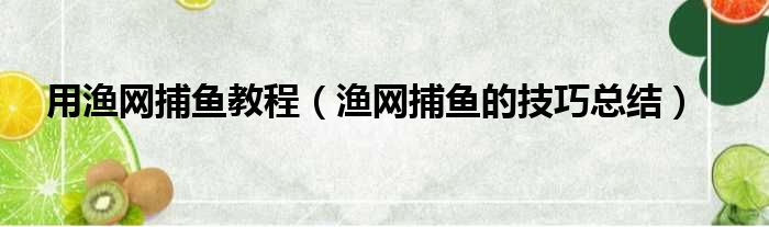 用渔网捕鱼教程（渔网捕鱼的技巧总结）