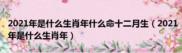 2021年是什么生肖年什么命十二月生（2021年是什么生肖年）