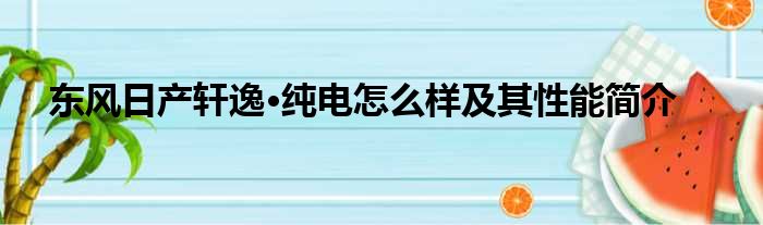 东风日产轩逸·纯电怎么样及其性能简介