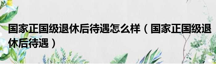 国家正国级退休后待遇怎么样（国家正国级退休后待遇）