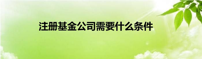 注册基金公司需要什么条件