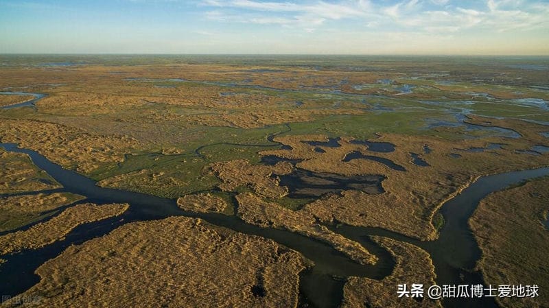 尼日利亚是非洲最大的石油生产国（尼日利亚属于哪个洲）(图9)