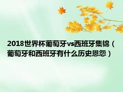 2018世界杯葡萄牙vs西班牙集锦（葡萄牙和西班牙有什么历史恩怨）