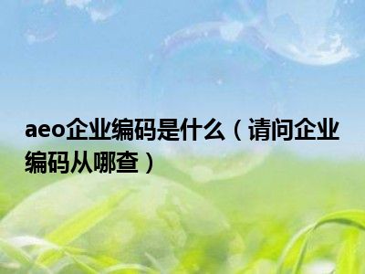 aeo企业编码是什么（请问企业编码从哪查）