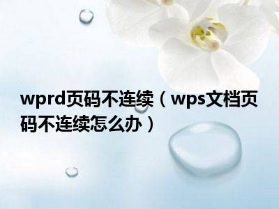 wprd页码不连续（wps文档页码不连续怎么办）