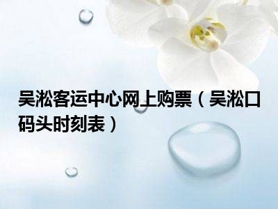 吴淞客运中心网上购票（吴淞口码头时刻表）