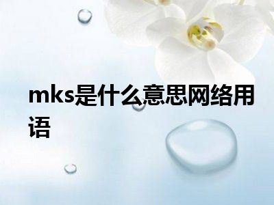 mks是什么意思网络用语