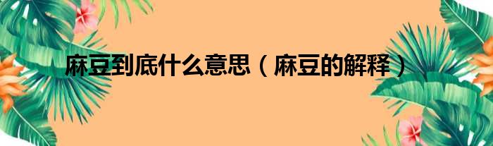 麻豆到底什么意思（麻豆的解释）