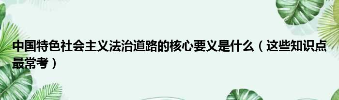 中国特色社会主义法治道路的核心要义是什么（这些知识点最常考）