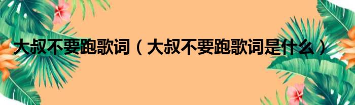 大叔不要跑歌词（大叔不要跑歌词是什么）