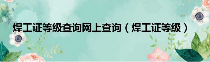 焊工证等级查询网上查询（焊工证等级）