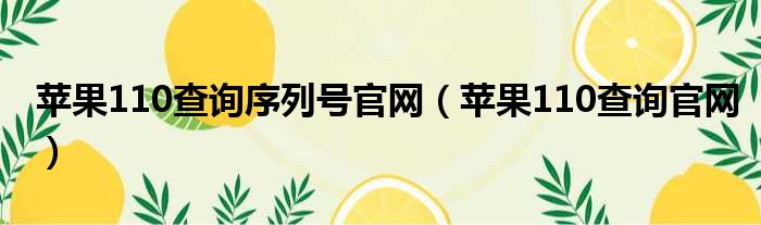 苹果110查询序列号官网（苹果110查询官网）