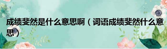 成绩斐然是什么意思啊（词语成绩斐然什么意思）