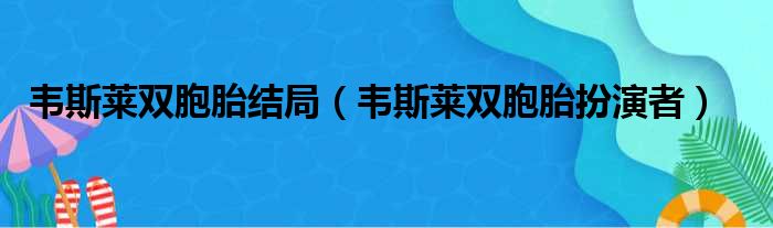 韦斯莱双胞胎结局（韦斯莱双胞胎扮演者）