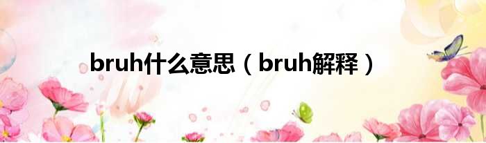 bruh什么意思（bruh解释）