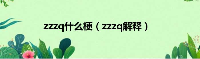 zzzq什么梗（zzzq解释）