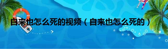 自来也怎么死的视频（自来也怎么死的）