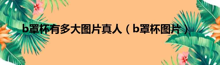 b罩杯有多大图片真人（b罩杯图片）