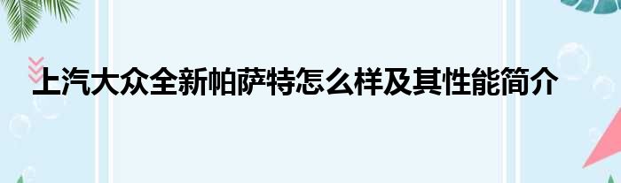 上汽大众全新帕萨特怎么样及其性能简介