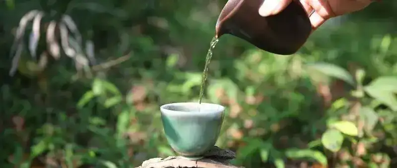 泡茶基本顺序（正确的茶道流程顺序）(图2)