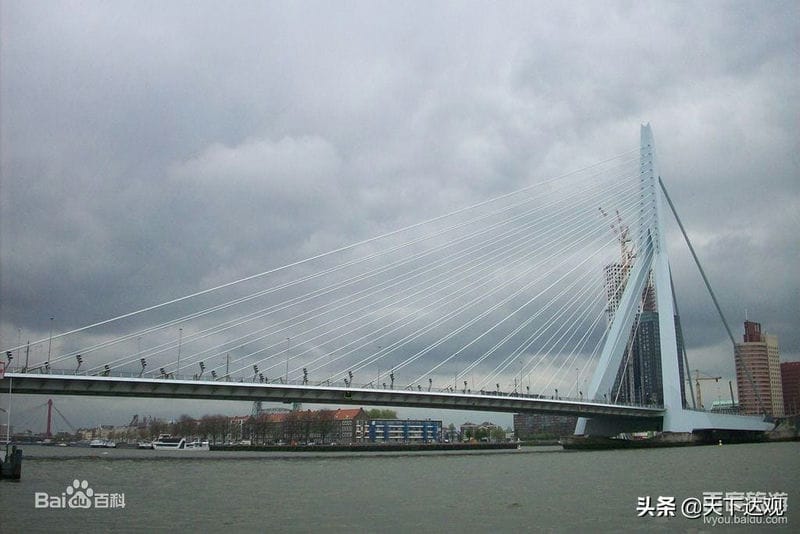 鹿特丹港口介绍（rotterdam是哪个国家的港口）(图4)