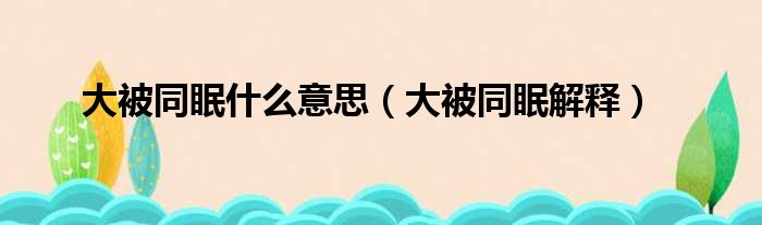 大被同眠什么意思（大被同眠解释）