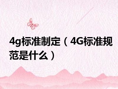 4g标准制定（4G标准规范是什么）