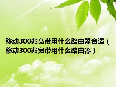 移动300兆宽带用什么路由器合适（移动300兆宽带用什么路由器）