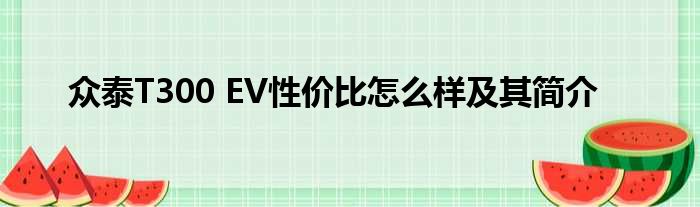 众泰T300 EV性价比怎么样及其简介